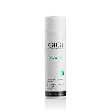 Гель для бережного очищения Recovery, 250 мл GIGI